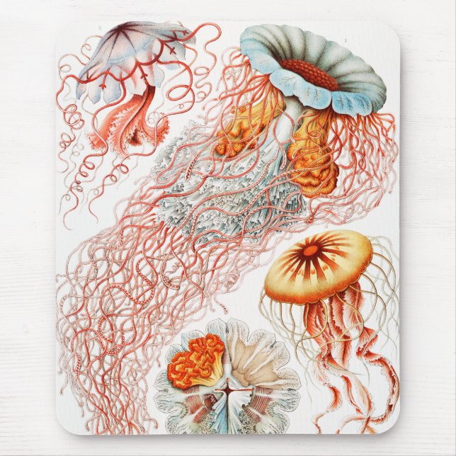Jellyfish, Discomedusae by Ernst Haeckel Mouse Mat (Front)