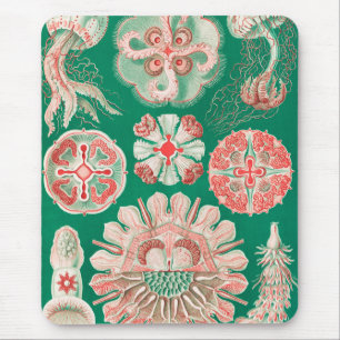 Jellyfish, Discomedusae by Ernst Haeckel Mouse Mat
