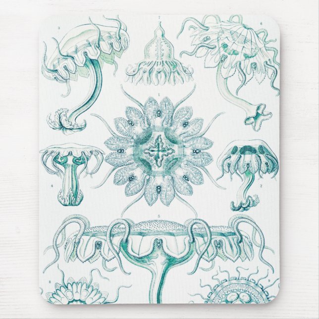 Jellyfish, Discomedusae by Ernst Haeckel Mouse Mat (Front)