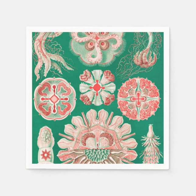 Jellyfish, Discomedusae by Ernst Haeckel Napkin (Front)
