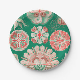 Jellyfish, Discomedusae by Ernst Haeckel Paper Plate