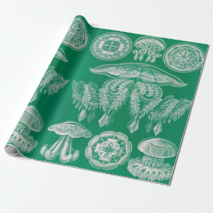 Jellyfish, Discomedusae by Ernst Haeckel Wrapping Paper