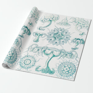 Jellyfish, Discomedusae by Ernst Haeckel Wrapping Paper