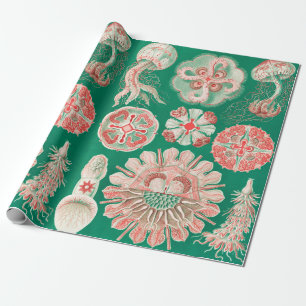 Jellyfish, Discomedusae by Ernst Haeckel Wrapping Paper