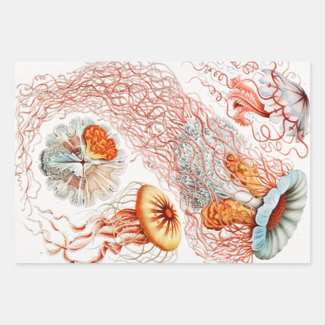 Jellyfish, Discomedusae by Ernst Haeckel Wrapping Paper Sheet (Front)