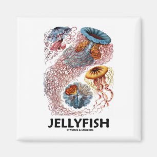Jellyfish (Ernest Haeckel's Artforms Of Nature) Magnet
