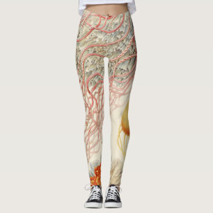 Jellyfish - Ernst Haeckel Leggings