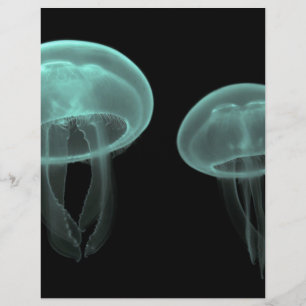 jellyfish fish custom personalise Anniversaries