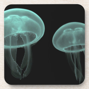 jellyfish fish custom personalise Anniversaries Coaster