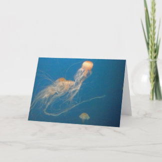JellyFish Greeting Card