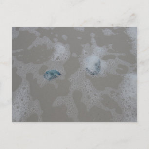 Jellyfish in Ocean Surf Beach Photography Postcard