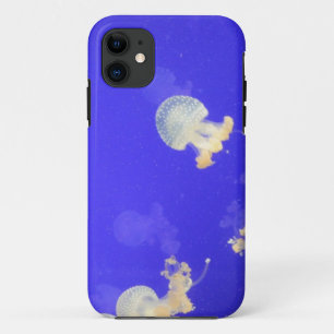Jellyfish iPhone5 Case