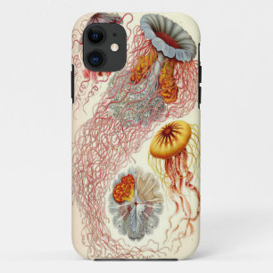 Jellyfish Iphone 5 Case