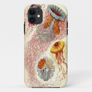 Jellyfish Iphone 5 Case