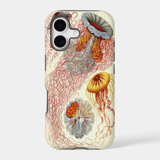 Jellyfish Iphone 5 Case