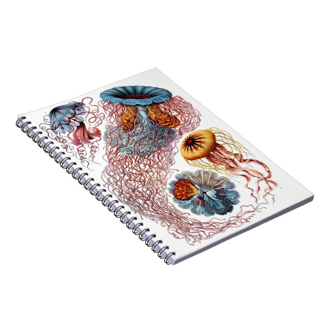 Jellyfish Journal (Right Side)