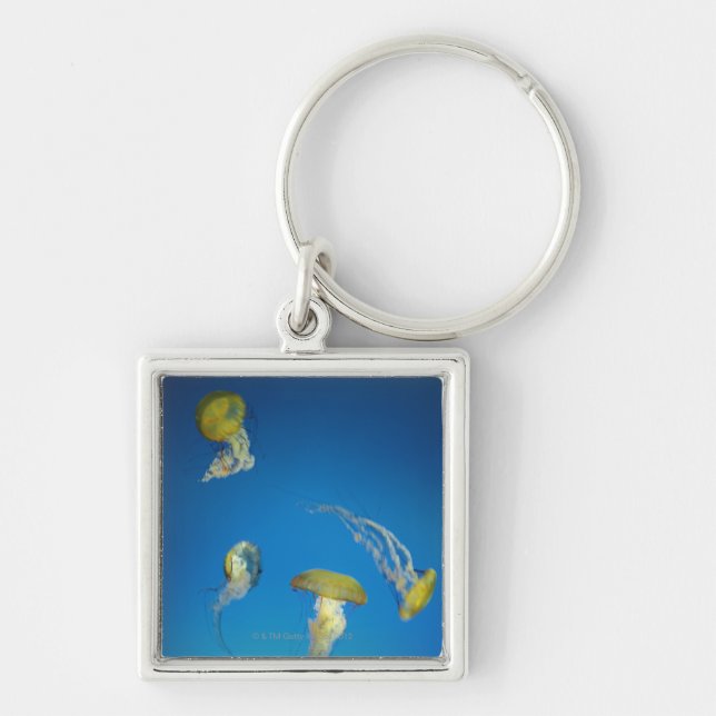 Jellyfish Key Ring (Front)