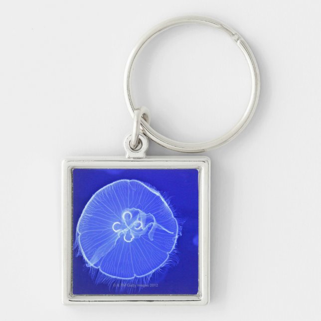 Jellyfish Key Ring (Front)