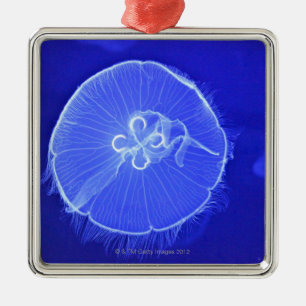 Jellyfish Metal Tree Decoration
