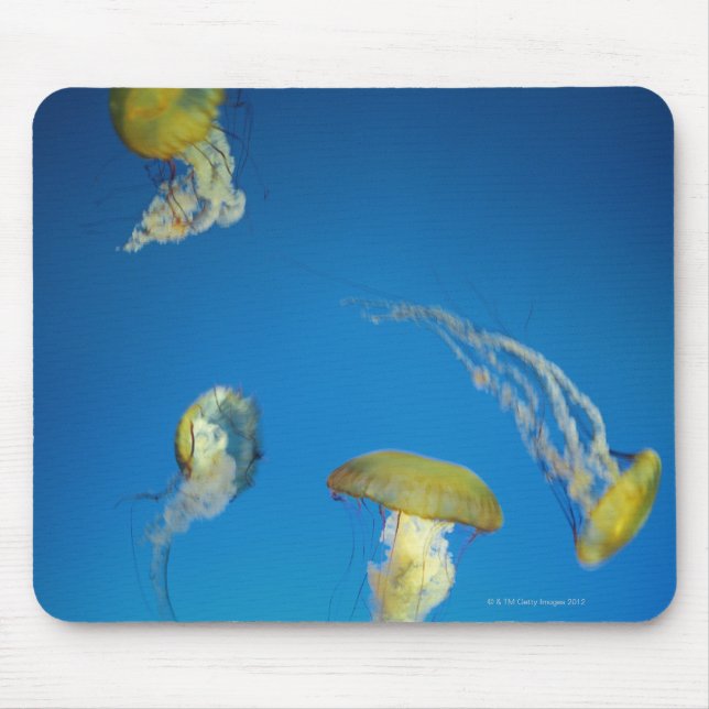 Jellyfish Mouse Mat (Front)