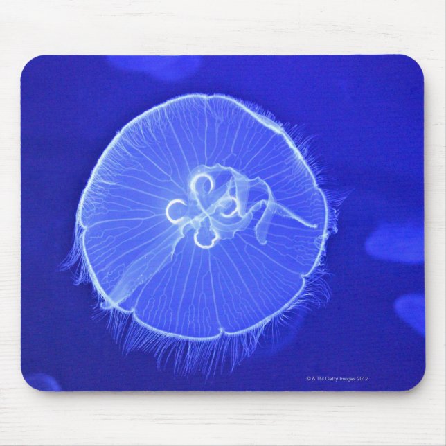 Jellyfish Mouse Mat (Front)