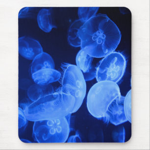 jellyfish, nature, sea jelly mouse mat