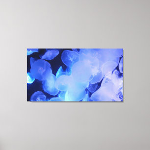 JELLYFISH ON CANVAS     20 "x 16"