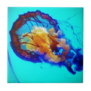 Jellyfish / Pacific Sea Nettle / Tile