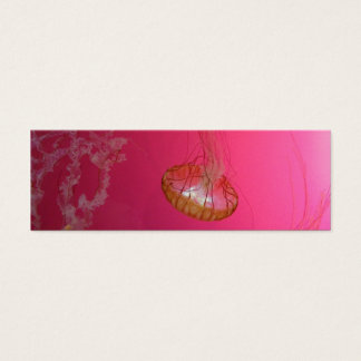 Jellyfish Pink