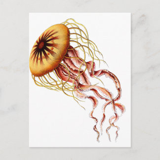 jellyfish postcard