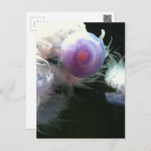 Jellyfish Postcard (Front/Back)