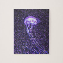 Jellyfish Puzzle