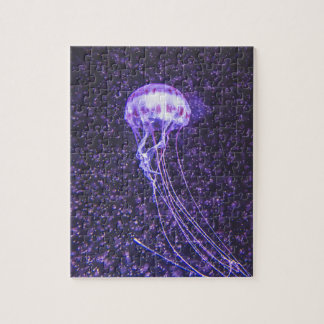 Jellyfish Puzzle