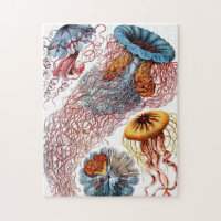 Jellyfish (Scheibenquallen) by Ernst Haeckel