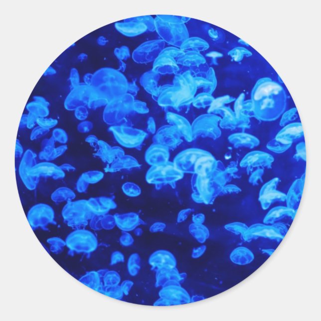 Jellyfish, Sea Animals, Sea Life, Ocean Animals Classic Round Sticker (Front)