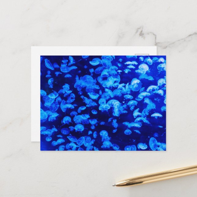 Jellyfish, Sea Animals, Sea Life, Ocean Animals Postcard (Front/Back In Situ)