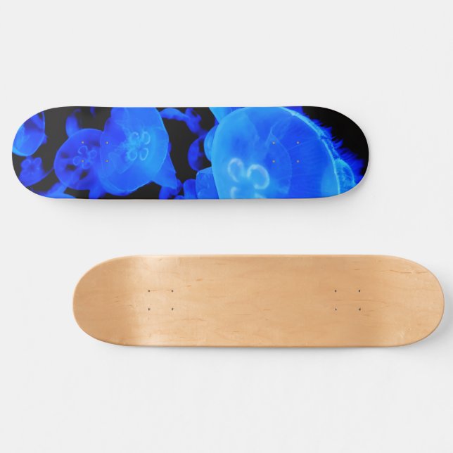 jellyfish skateboard (Horz)