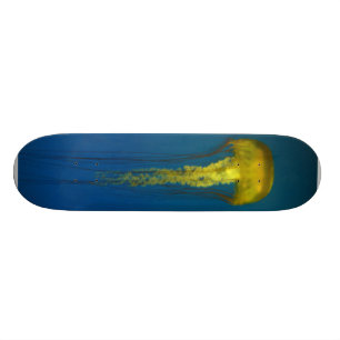 Jellyfish Skateboard