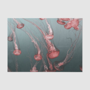 jellyfish tissue paper