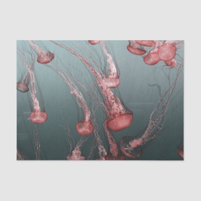 jellyfish tissue paper (Front)