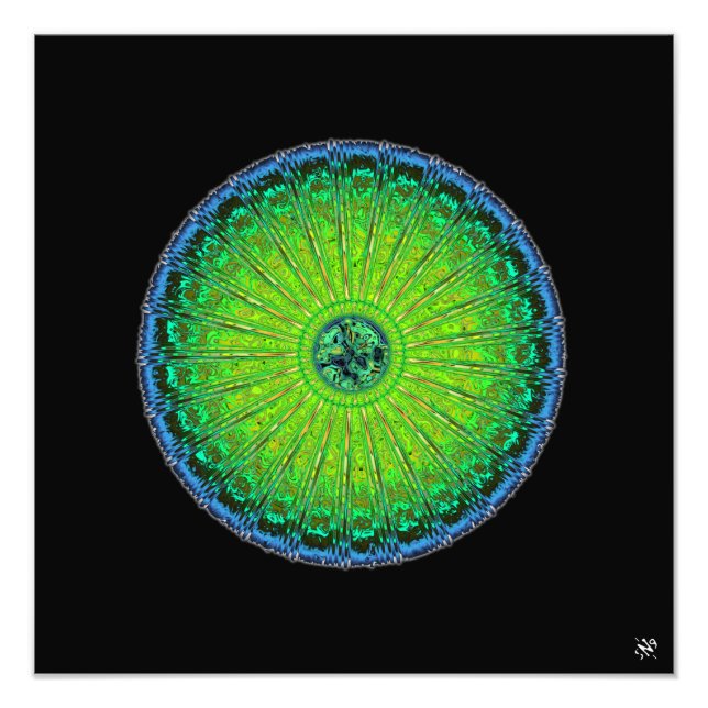 Jellyfish umbrella photo print (Front)