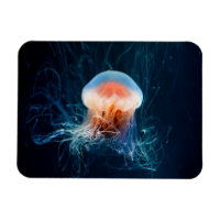 Jellyfish Underwater - Dark Glow
