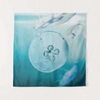 JELLYFISHES UNDERWATER