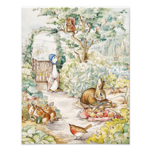 Jemima Puddle Duck in Mr Mc Gregor's Garden Photo Print