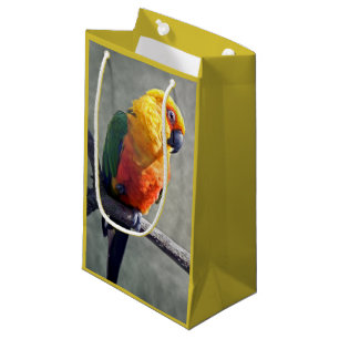 Jenday Conure Gift Bag