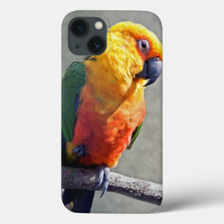 Jenday Conure iPad Case