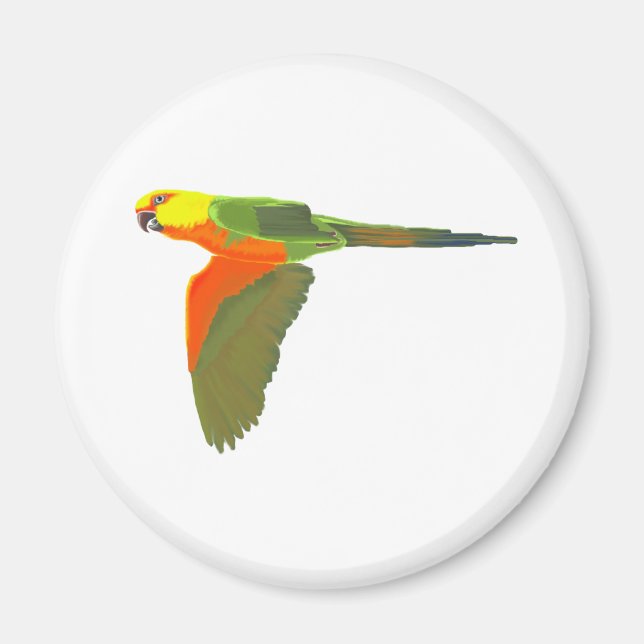 Jenday Conure Magnet (Front)