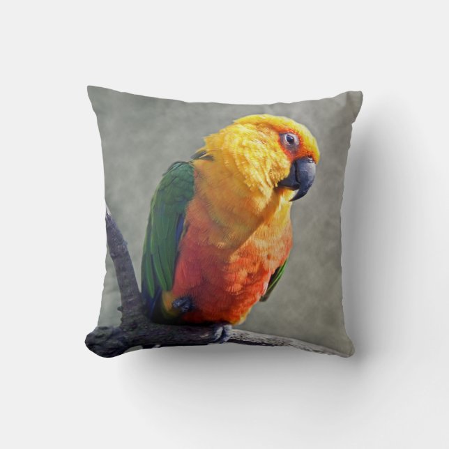 Jenday Conure Pillow (Front)