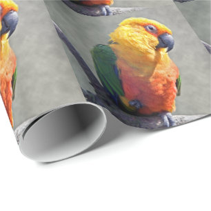 Jenday Conure Wrapping Paper