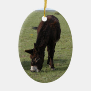Jenny Lynn Memorial Ceramic Tree Decoration